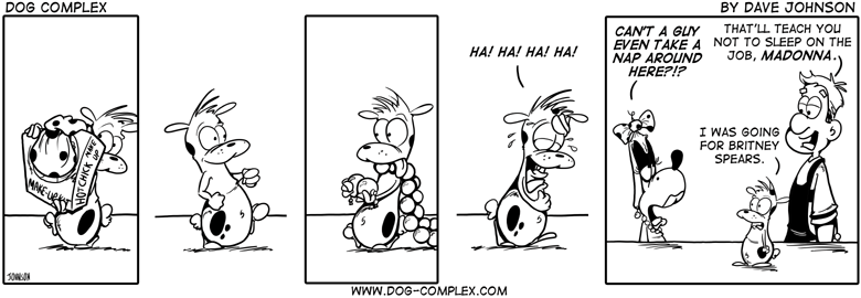 dog